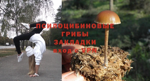 PSILOCYBIN Алзамай
