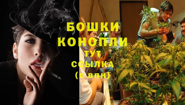 трава Алексин