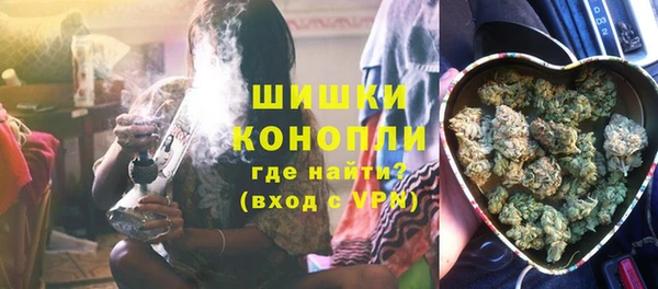 PSILOCYBIN Алзамай