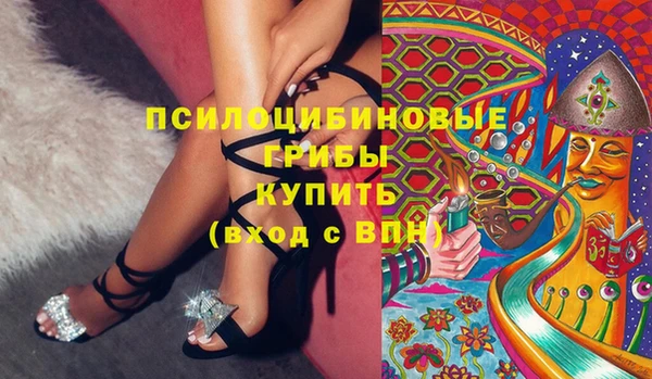 PSILOCYBIN Алзамай