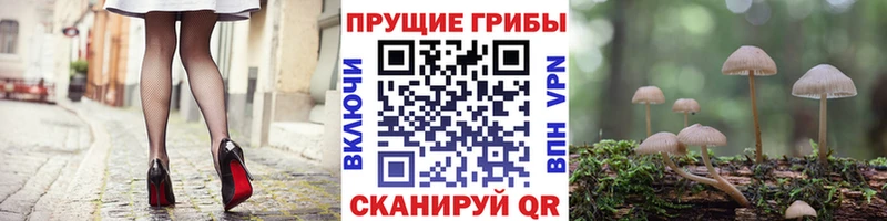 где найти наркотики  сайты даркнета телеграм  Галлюциногенные грибы Magic Shrooms  Калтан 